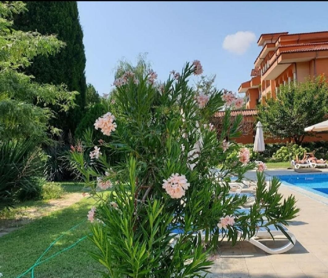 Family Hotel Magnolia 阳光海滩 外观 照片