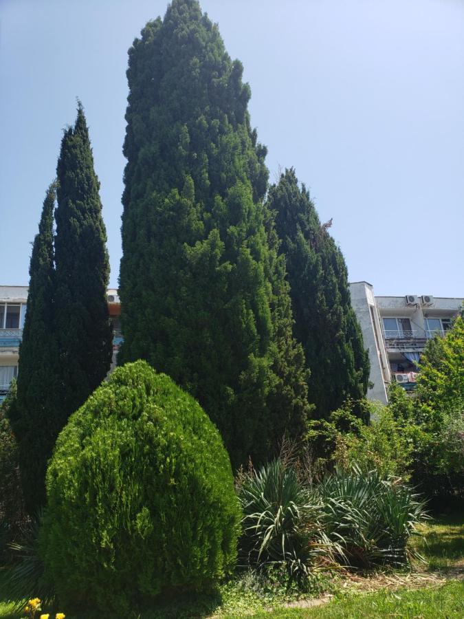 Family Hotel Magnolia 阳光海滩 外观 照片